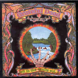 Grateful Dead - Left In The Vaults Vol. 1 ( 2 CD set )( Flashback ) ( Chicago , June 29th , 1976 )