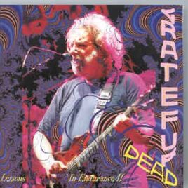 Grateful Dead - Lessons In Endurance Vol. 2 ( Madison Square Garden , New York , October 17th , 1994 ) front cover