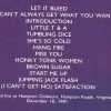 Rolling Stones - Live at Hampton 1981  Vol. 2   ( Swingin' Pig )