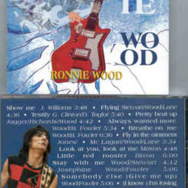 Rolling Stones - Live At The Electric Ladyland ( RON WOOD )