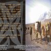Led Zeppelin - Live At The Shark Tank ( Swingin' Pig )( 2 CD set )( San Jose , CA , USA , May 20th , 1995 )