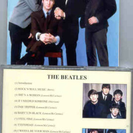 The Beatles - Live In Budokan