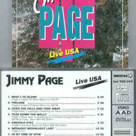 Led Zeppelin - Jimmy Page Live USA ( Live in USA 1988 )