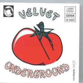Lou Reed / Velvet Underground - Live In U.S.A. 1993 front cover