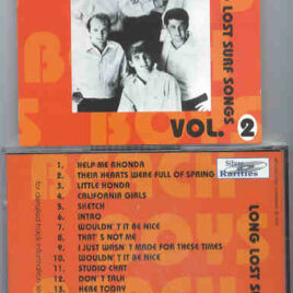 The Beach Boys - Long Lost Surf Songs vol. 2 ( Silver Rarities )