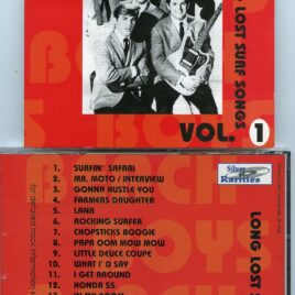 The Beach Boys - Long Lost Surf Songs vol. 1 ( Silver Rarities )