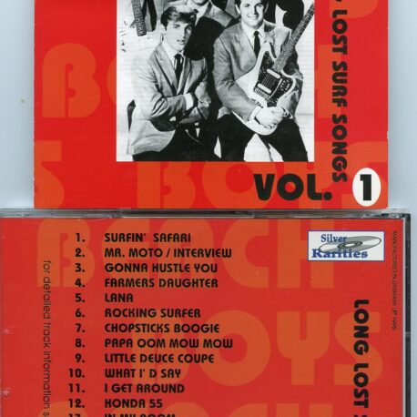 The Beach Boys - Long Lost Surf Songs vol. 1 ( Silver Rarities )