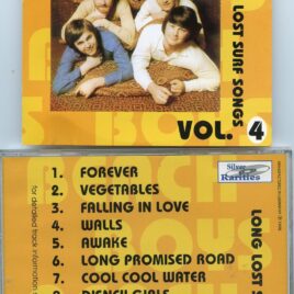 The Beach Boys - Long Lost Surf Songs vol. 4 ( Silver Rarities )