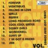 The Beach Boys - Long Lost Surf Songs vol. 4 ( Silver Rarities )