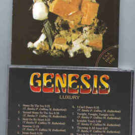 P. Gabriel / GENESIS / P. Collins - Luxury ( USA Tour 1992 )