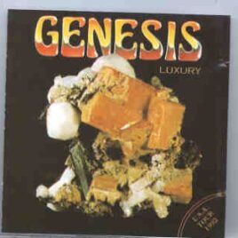 P. Gabriel  /  GENESIS  /  P. Collins - Luxury    ( USA Tour 1992 ) front cover