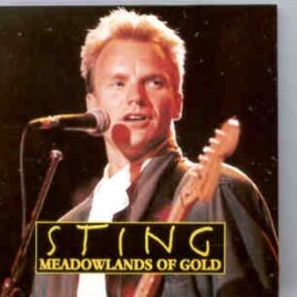 Sting / The Police - Meadowlands Of Gold ( Meadowlands Arena , East Rutherford , New Jersey , February 26th , 1994 ) front cover