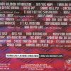 Rolling Stones - Live at Joe Robbie Stadium , Miami 1994 ( 2 CD!!!!! set )   ( Swingin' Pig ) ( November 25th , 1994 )