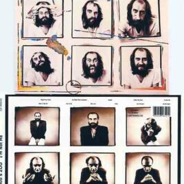 Lindsey Buckingham Fleetwood Mac - I'm Not Me ( Mike Fleetwood's Zoo album on cd )