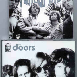 The Doors - Mystical Blues ( Babyface )