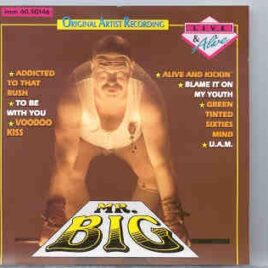 Mr. Big - Mr. Big Live And Alive front cover