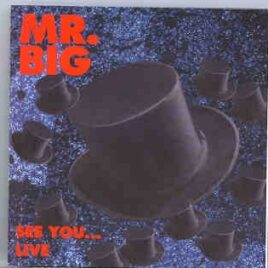 Mr. Big - See You ... Live ( Living Legend ) ( California & Dallas , USA ,'91 ) front cover