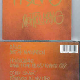 Prince - Nightclubbing   ( Swingin' Pig ) ( Den Haag , Holland , August 18th , 1988 )