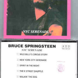 Bruce Springsteen - NYC Serenade ( PA , 1973 ) ( Oil Well )