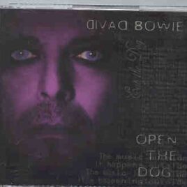 David Bowie - Open The Dog ( Wembley , London , UK , Nov 15th , 1995 ) ( 2 CD set ) front cover