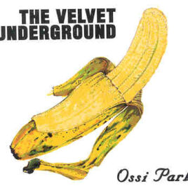 Lou Reed / Velvet Underground - Ossi Park ( Live At Various Locations In Holland 1993 )