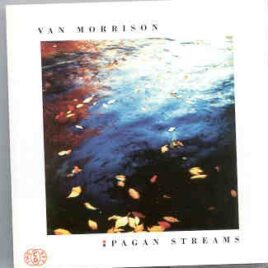 Van Morrison - Pagan Streams ( 2 CD set ) ( Live In Europe 1991 ) ( Big Music ) front cover