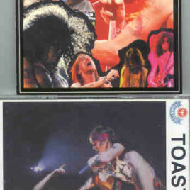 Guns N' Roses - Paris 1992 ( Condor Toasted ) ( 2 CD set )
