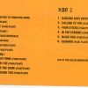 Led Zeppelin - Paris '95 ( 2 CD set )  ( Silver Rarities ) ( Paris Bercy , June 6th , 1995 )