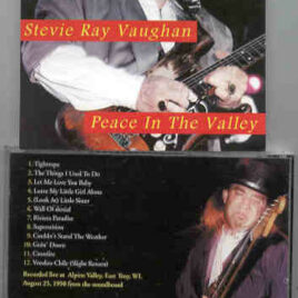 Stevie Ray Vaughan - Peace In The Valley ( Soundboard from Alpine Valley , Peace Troy , WI , August 25th , 1990 )