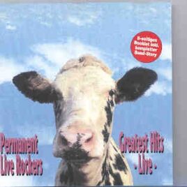 Aerosmith - Permanent Live Rockers  ( Living Legend Recs. ) ( Hartford '78 , Switzerland 1990 + more ) front cover