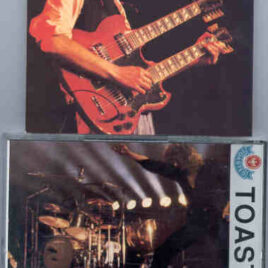 Led Zeppelin - Platinum ( Condor Toasted ) ( Live at Voorst National, Brussels, Belgium June 20th , 1980 )