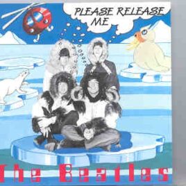 The Beatles - Please Release Me ( Documents ) front cover
