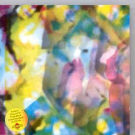 Prince - HITS LIVE ( Living Legend ) front cover