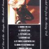 Led Zeppelin - Promise Land ( Robert Plant at The Perugia Blues Festival , Summer 1993 )