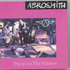 Aerosmith - Pump Up The Volume ( 2 CD set ) ( Jones Beach , September 4th , 1993 ) front cover