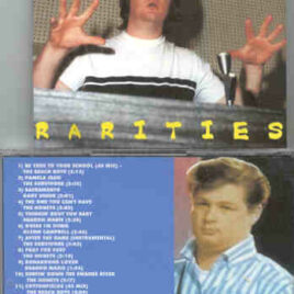 The Beach Boys - Rarities ( BRIAN WILSON )
