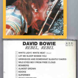 David Bowie - Rebel Rebel ( Oil Well )