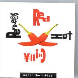 Red Hot Chili Peppers - Under The Bridge ( Live in USA ) front cover
