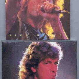 Led Zeppelin - Slow Dancer ( Robert Plant Live in Dallas 1983 ) ( Chapter One Recs )