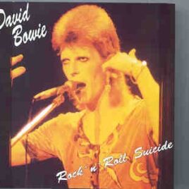 David Bowie - Rock ' N ' Roll Suicide ( Swingin' Pig ) ( 2 CD set ) front cover