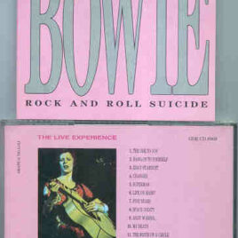 David Bowie - Rock ' N ' Roll Suicide ( Great Dane )