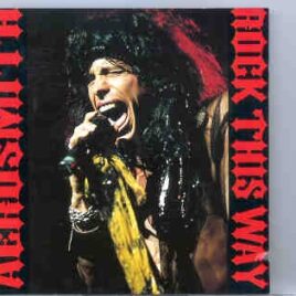 Aerosmith - Rock This Way ( Swingin' Pig ) ( Winterhur , Switzerland , August 31st , 1990 )( 2 CD set ) front cover