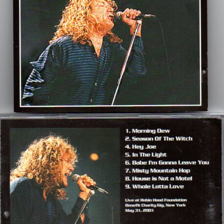 Led Zeppelin - The Roots Of A Plant ( Robert Plant Live In New York , May 31st , 2001 )