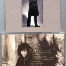Led Zeppelin - Royal Orleans Part Two ( Live n New Orleans , March 10th , 1995 )