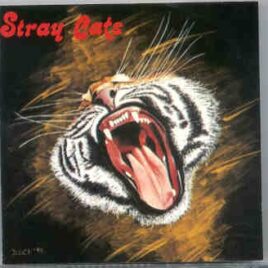 Stray Cats - Runaway ( Flashback ) front cover