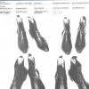 The Beatles - Sessions ( Disques Du Monde )