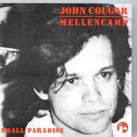 John Cougar Mellencamp - Strippin' Down front cover