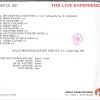 John Cougar Mellencamp - Small Paradise ( Bottom Line , New York City , Oct 10th , 1980 )( Great Dane Recs )