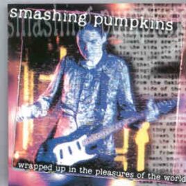 Smashing Pumpkins  - Wrapped Up In The Pleasures Of The World ( Reading Fest , August 25th , 1995 ) ( KTS ) front cover
