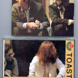 The Beatles - Something To Hide  ( Condor Toasted )